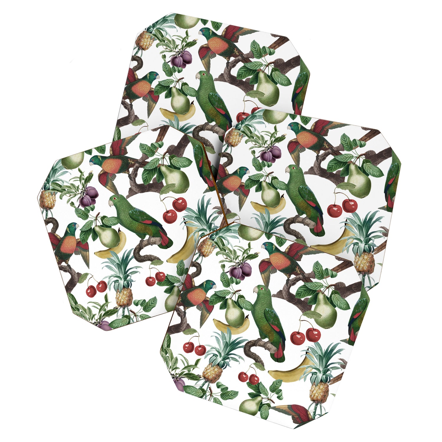 Tropical Vintage Floral and Fauna Coaster Gallery Image 1