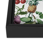 Tropical Vintage Floral and Fauna Framed Canvas Print Gallery Image 3