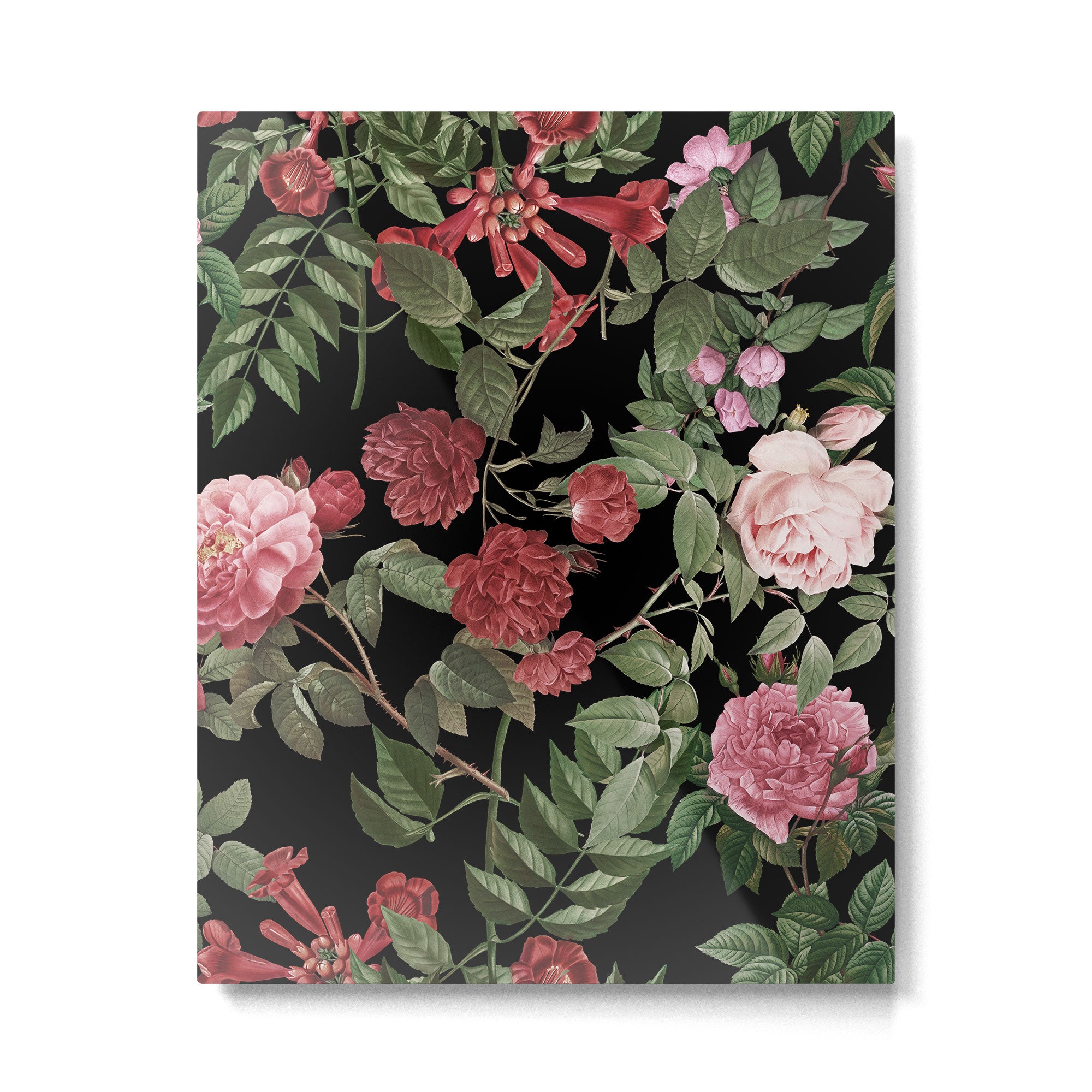 Vintage Roses, Floral Prints Metal Print Gallery Image 6