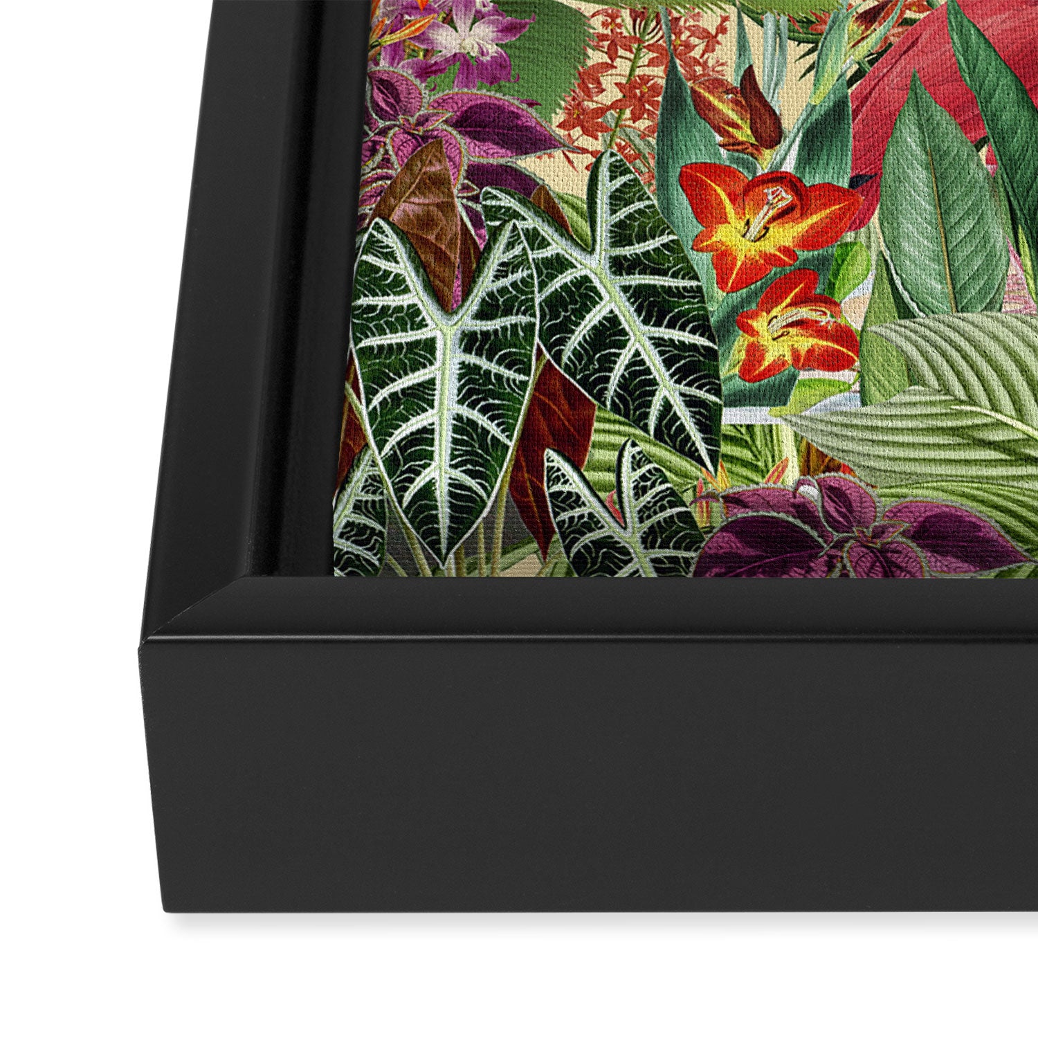 Vintage Tropical Eden on Yellow Framed Canvas Print Gallery Image 3