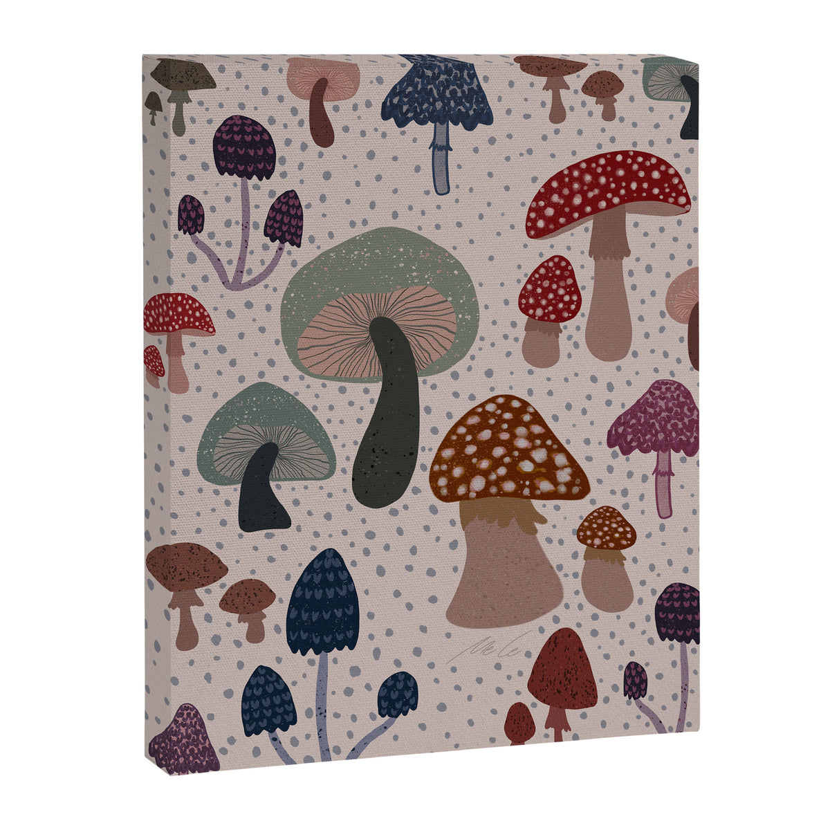 Mushroom collection_04 Canvas Print Gallery Image 6