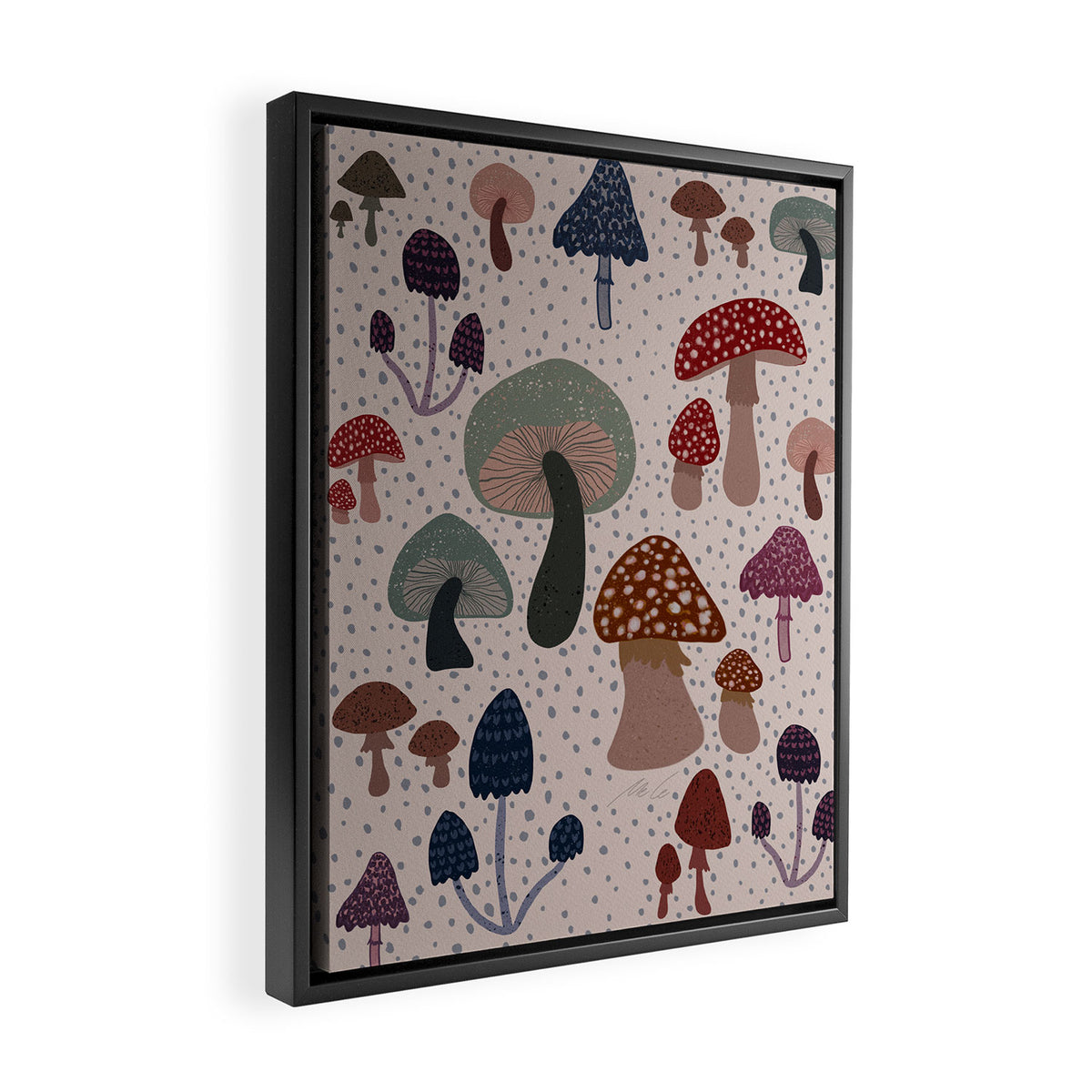 Mushroom collection_04 Framed Canvas Print Gallery Image 2