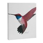 Red Hummingbird  Canvas Print Gallery Image 8