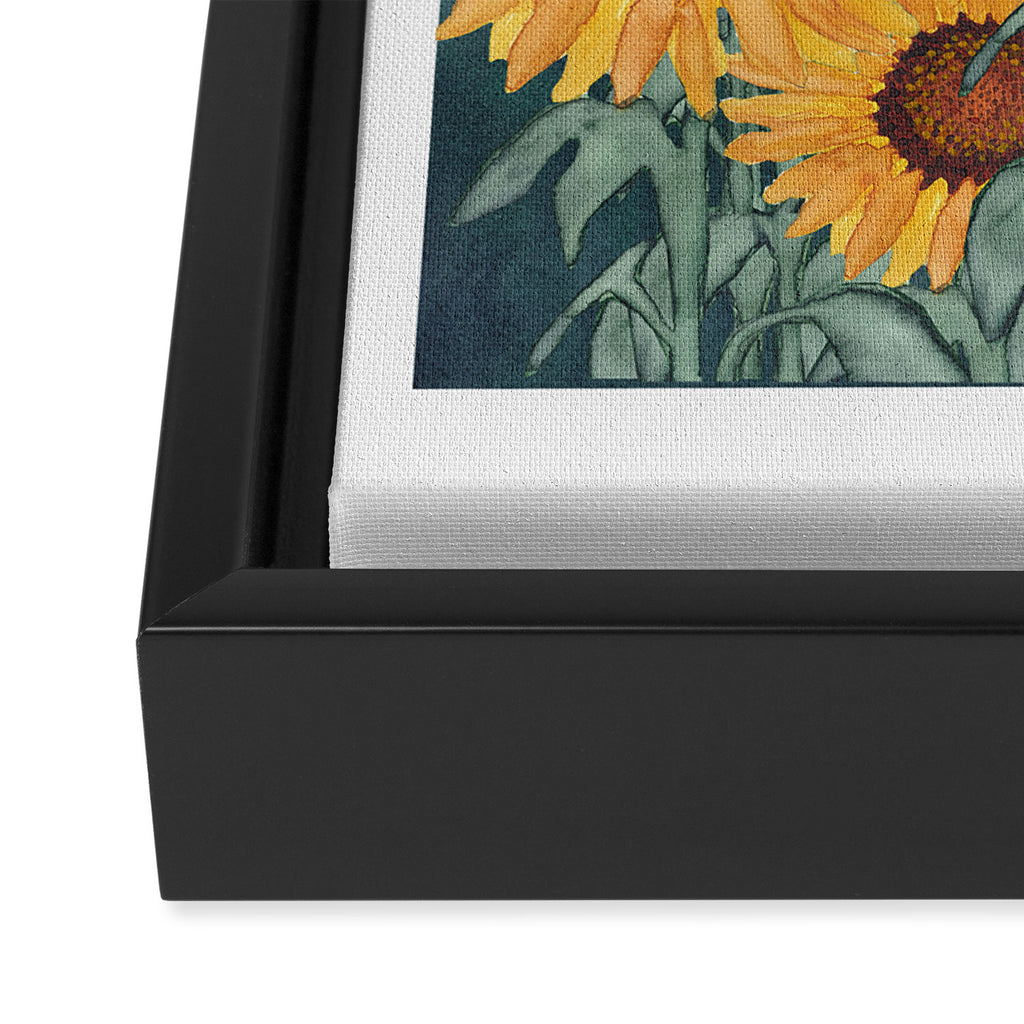 Sunflower_07 Framed Canvas Print Gallery Image 3