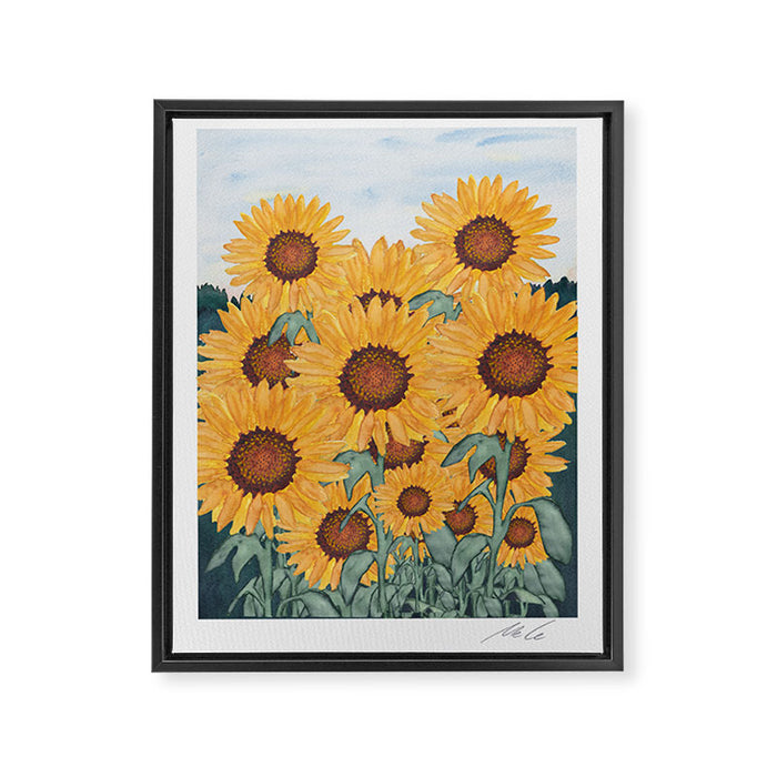 Sunflower_07 Framed Canvas Print Gallery Image 1