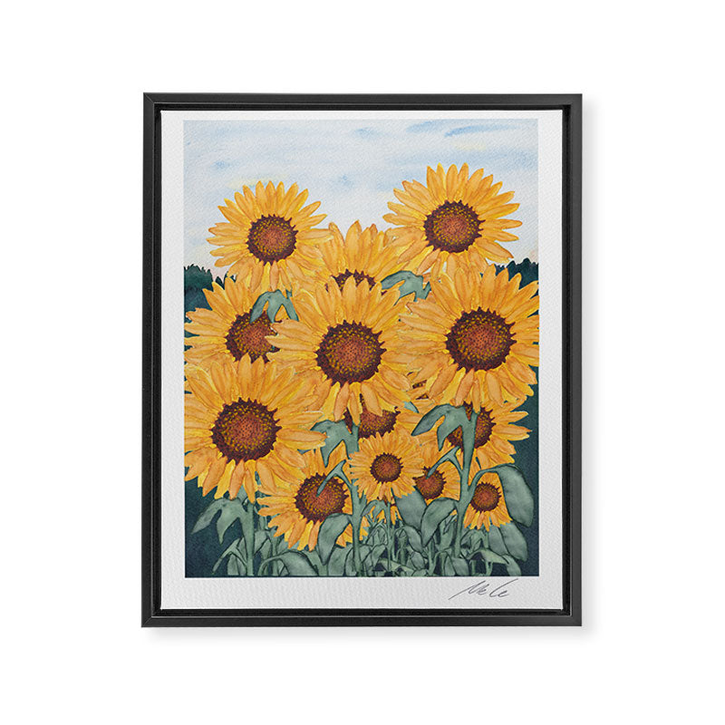 Sunflower_07 Framed Canvas Print Gallery Image 6