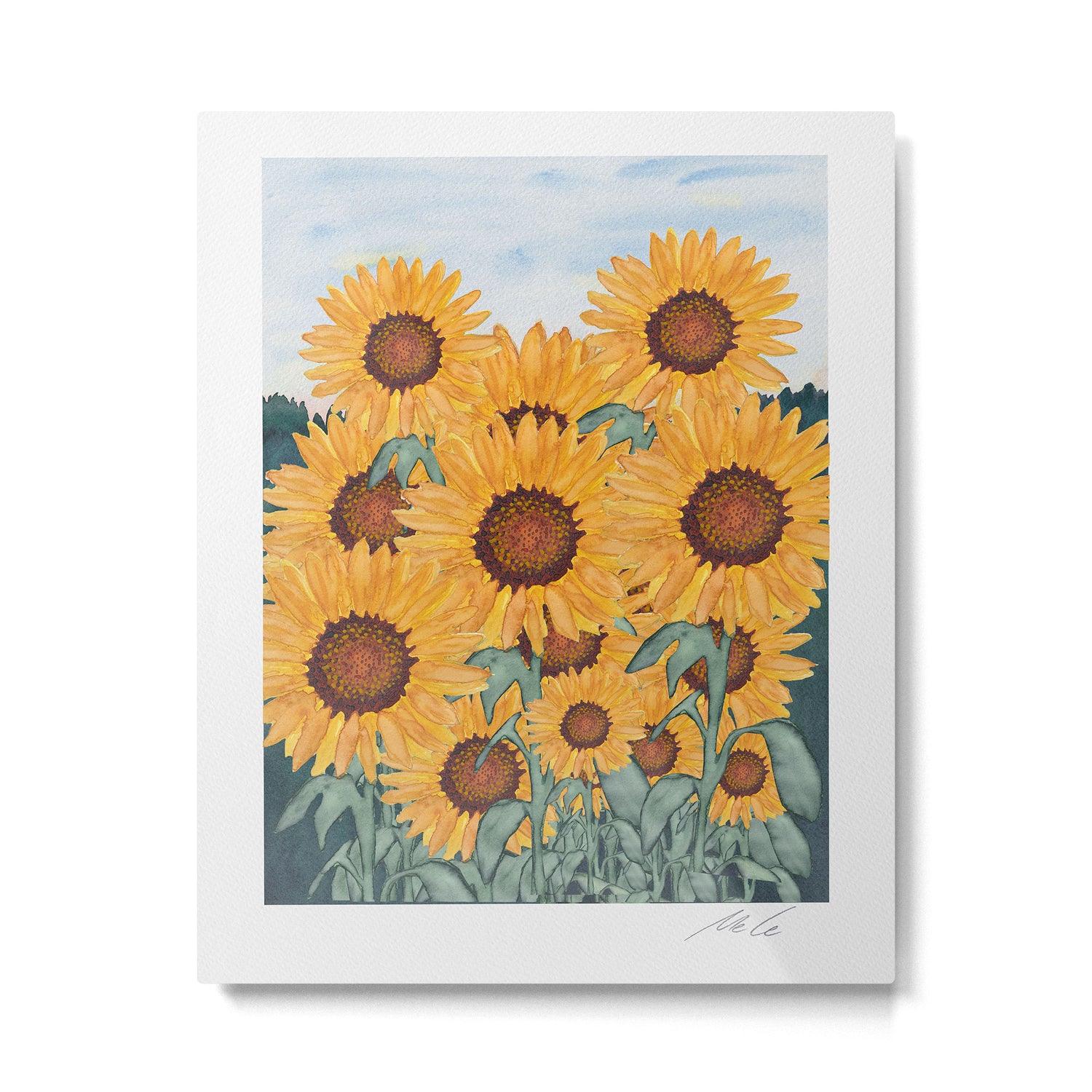 Sunflower_07 Metal Print Gallery Image 4