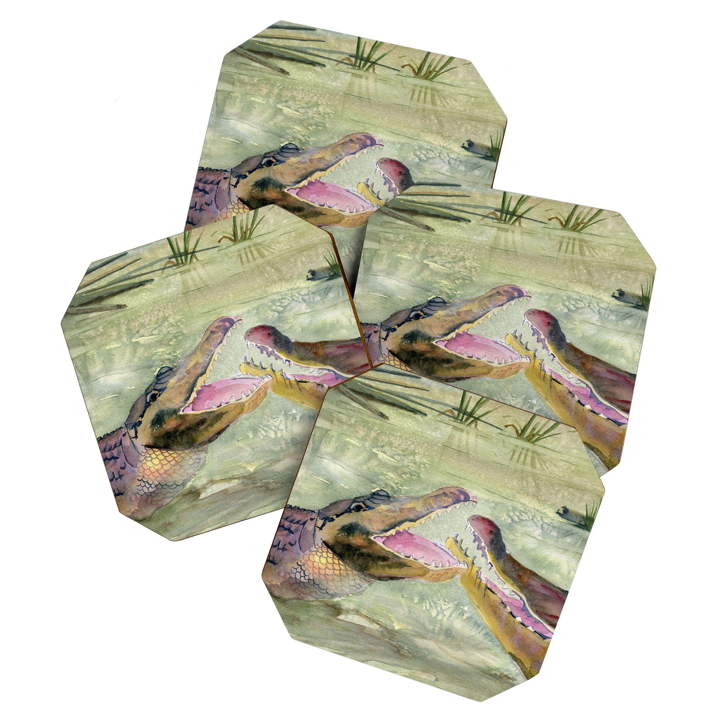 Alligator Study  Coaster Gallery Image 1
