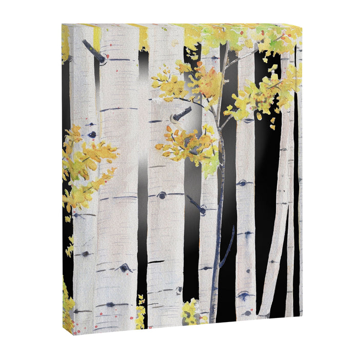 Birch Tree Canvas Print Gallery Image 1