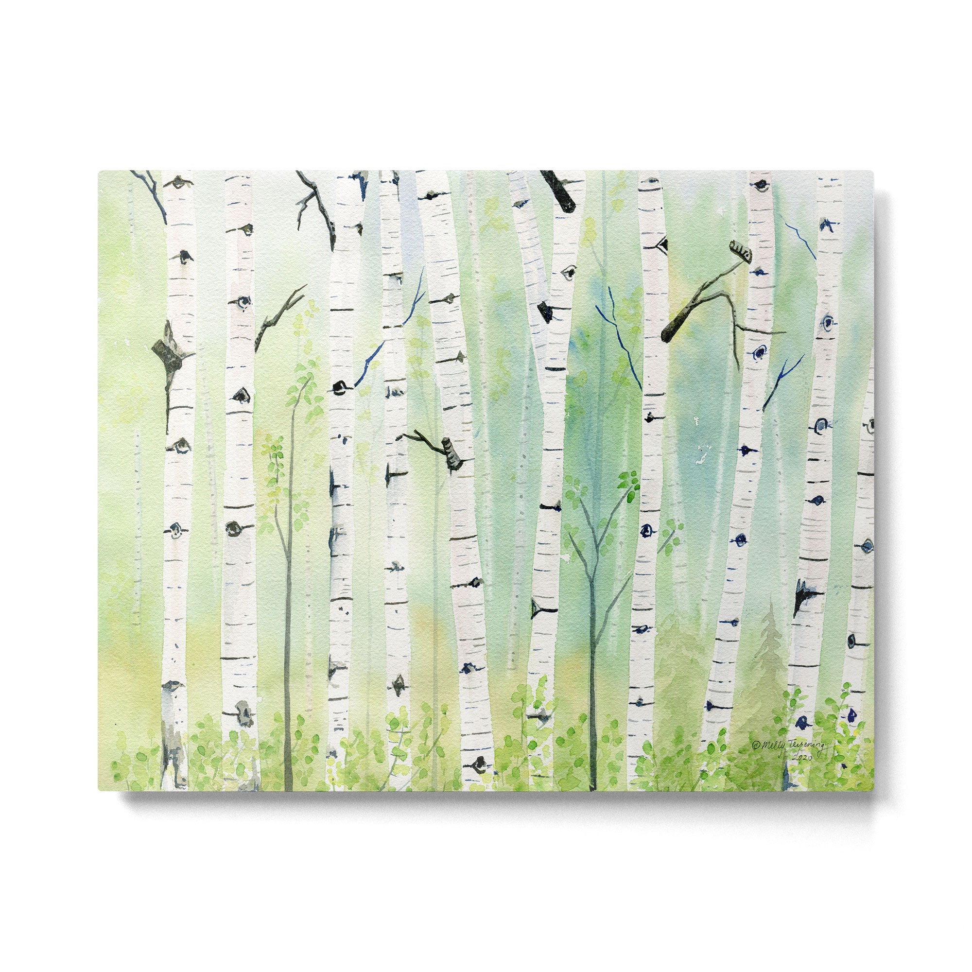 Birch Trees 2  Metal Print Gallery Image 6