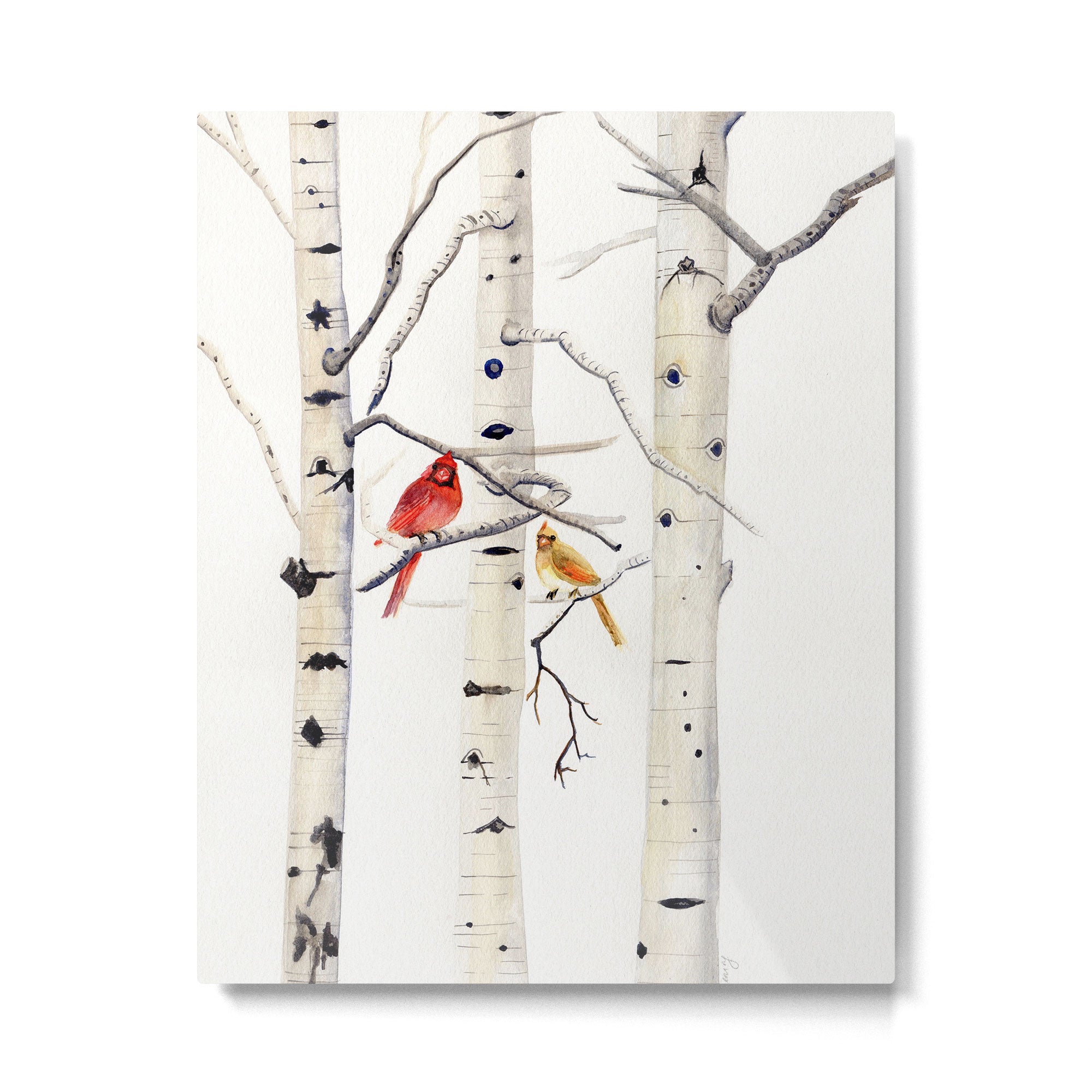 Birch Trees and Cardinal Metal Print Gallery Image 6
