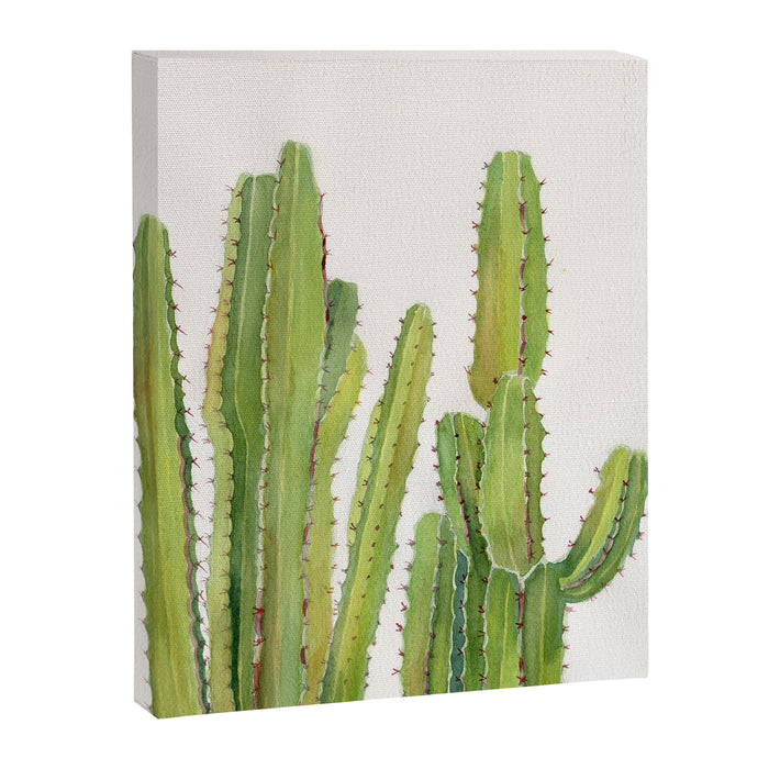 Cactus 2 Canvas Print Gallery Image 1