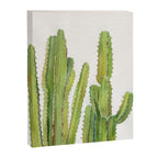 Cactus 2 Canvas Print Gallery Image 8