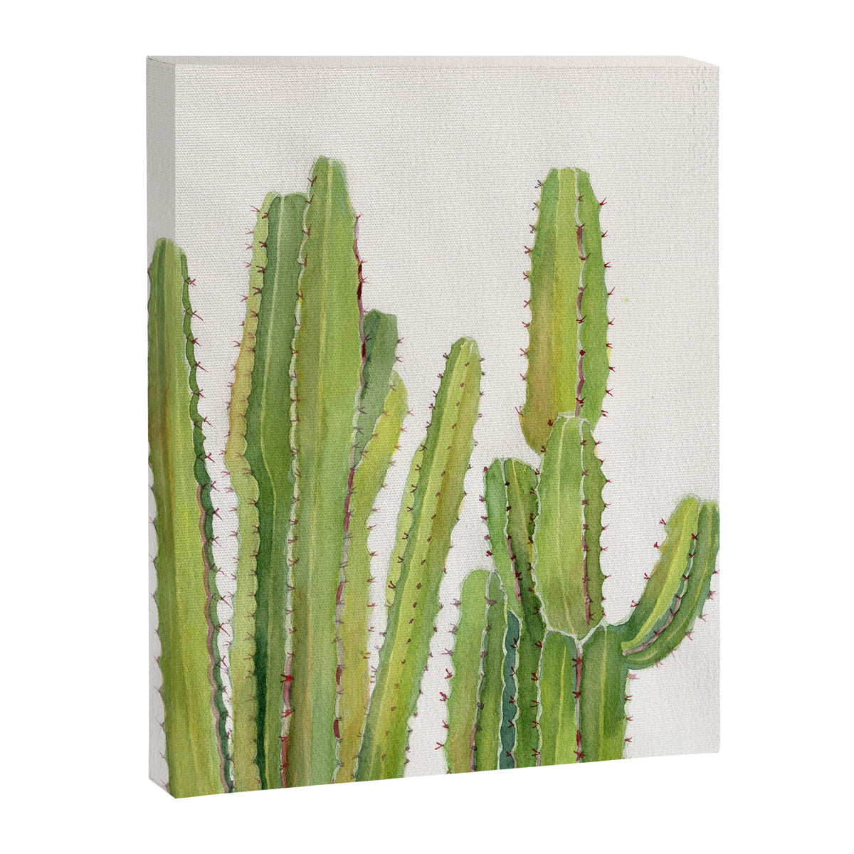 Cactus 2 Canvas Print Gallery Image 8