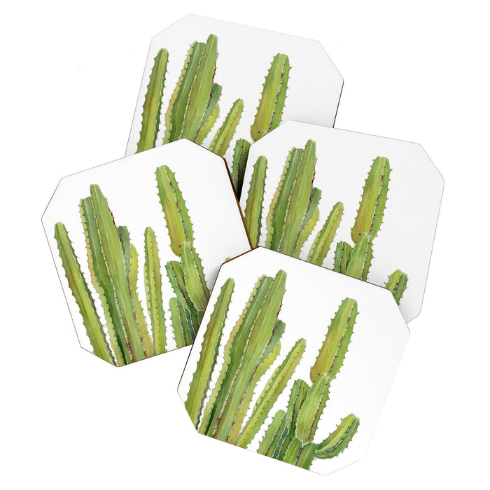 Cactus 2 Coaster Gallery Image 1