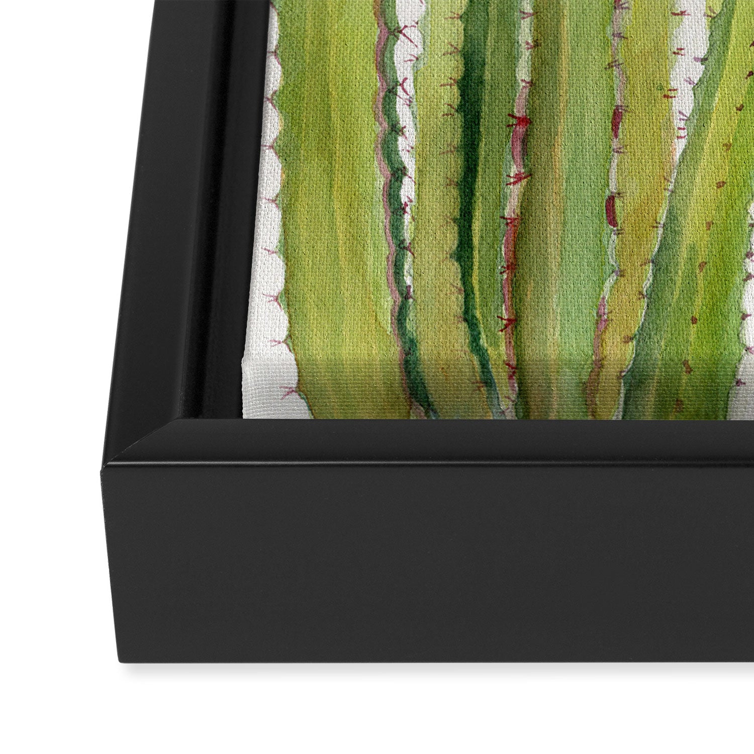 Cactus 2 Framed Canvas Print Gallery Image 3