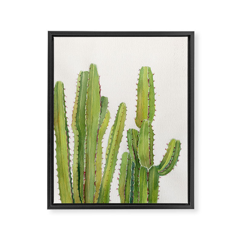 Cactus 2 Framed Canvas Print Gallery Image 8