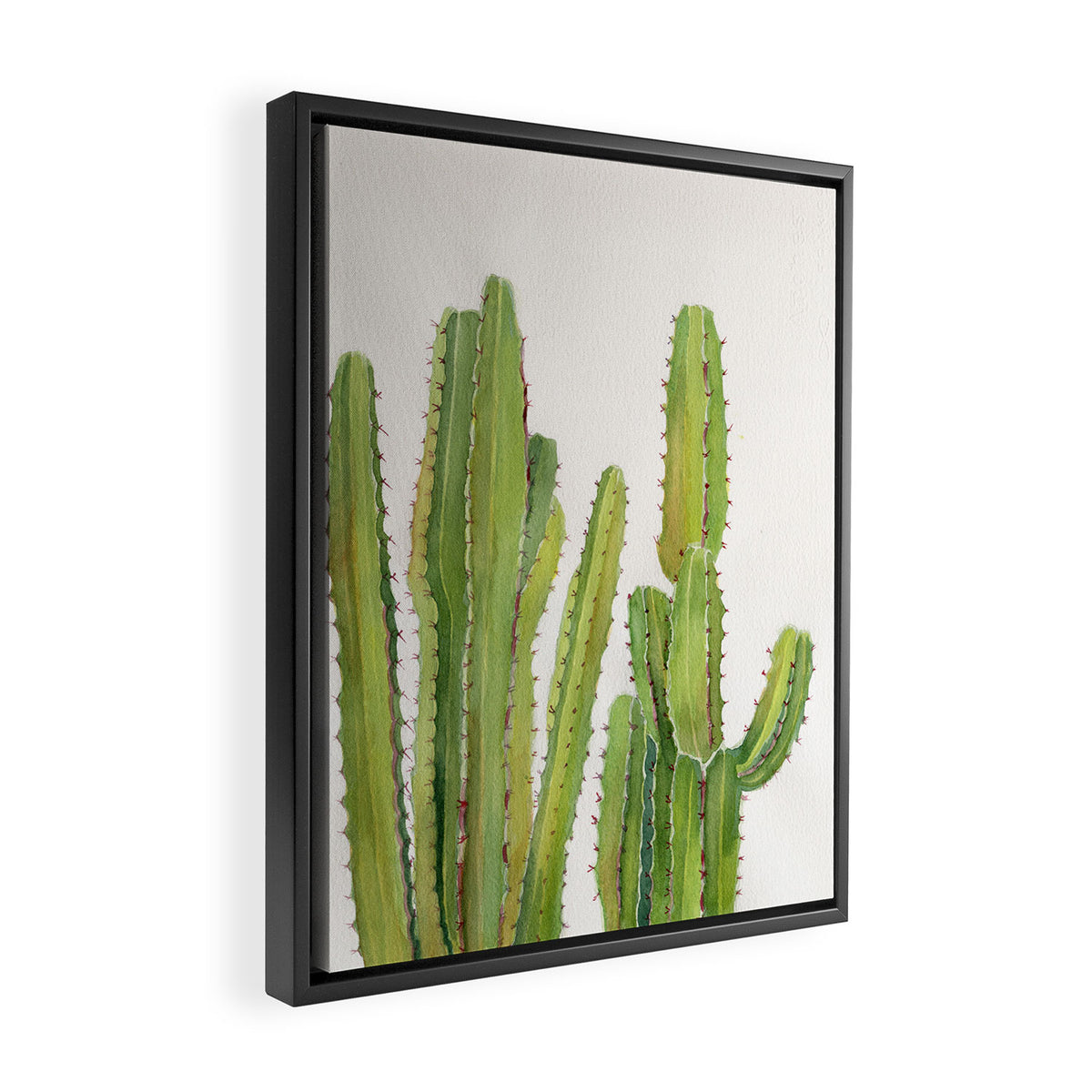Cactus 2 Framed Canvas Print Gallery Image 2