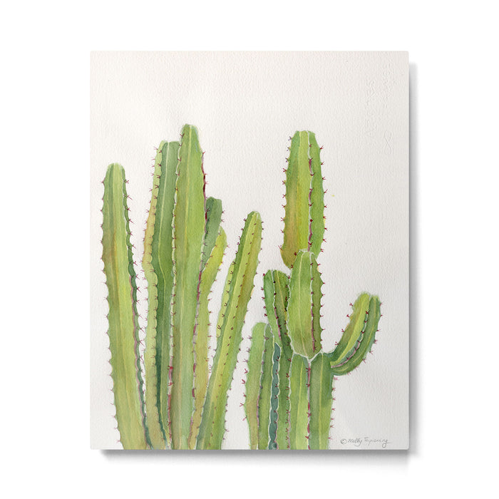 Cactus 2 Metal Print Gallery Image 1
