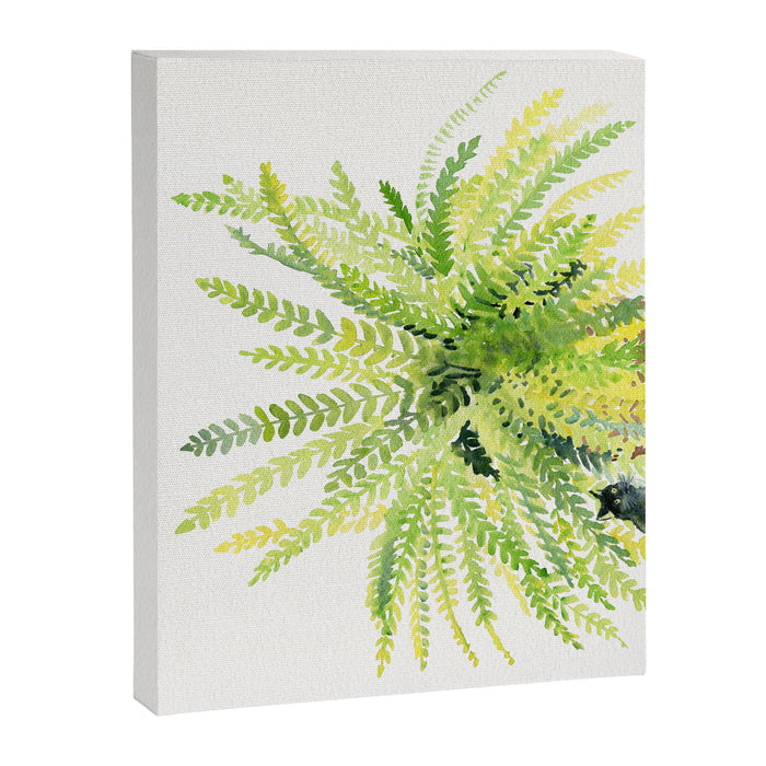 Cat and Fern Canvas Print Gallery Image 1