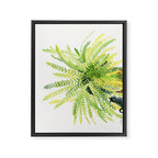 Cat and Fern Framed Canvas Print Gallery Image 8