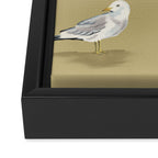 Coastal Seagulls  Framed Canvas Print Gallery Image 3