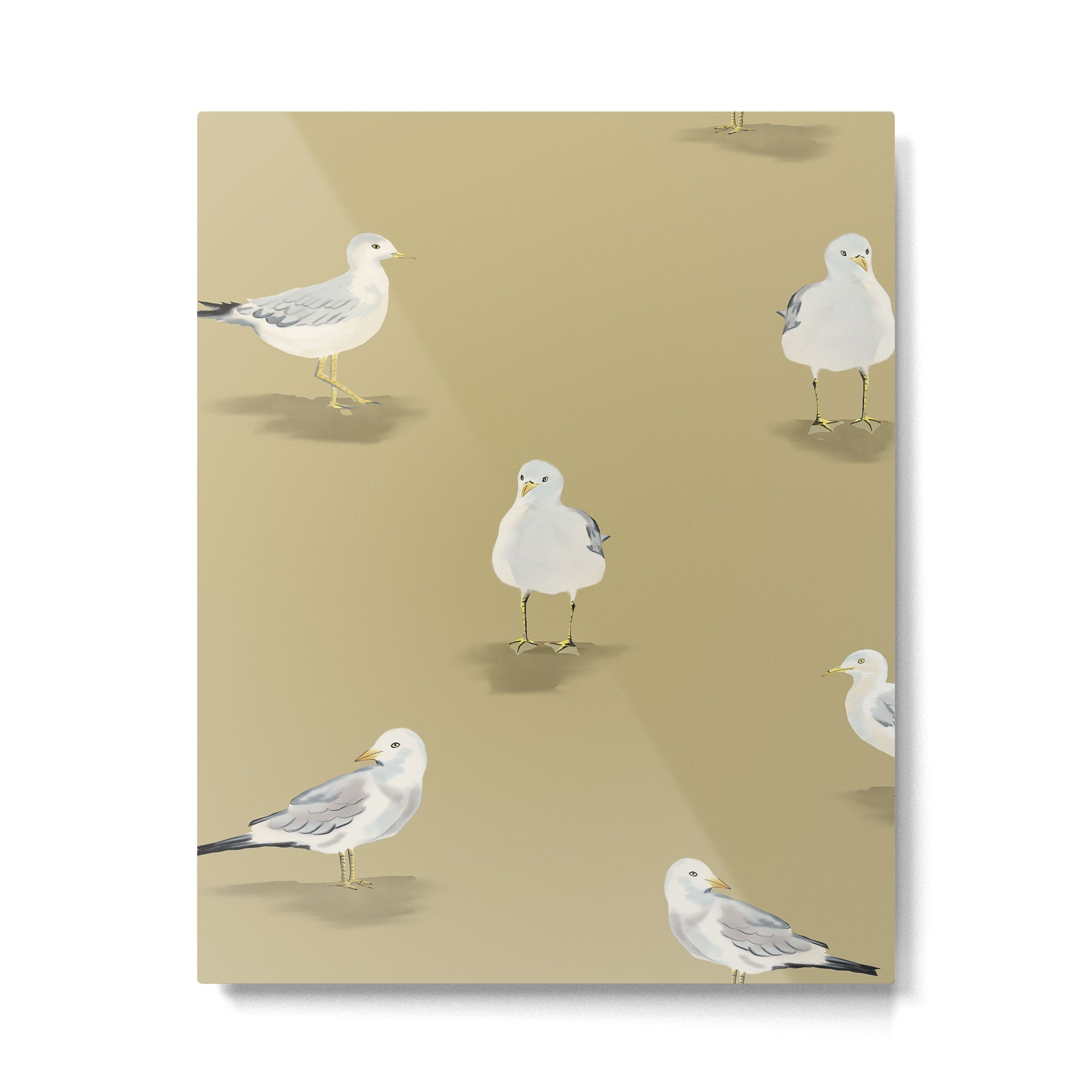Coastal Seagulls  Metal Print Gallery Image 6