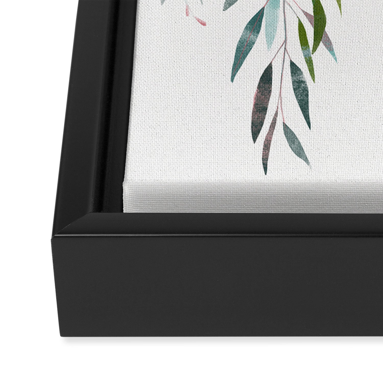 Eucalyptus Drop  Framed Canvas Print Gallery Image 3
