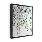 Eucalyptus Drop  Framed Canvas Print Gallery Image 2