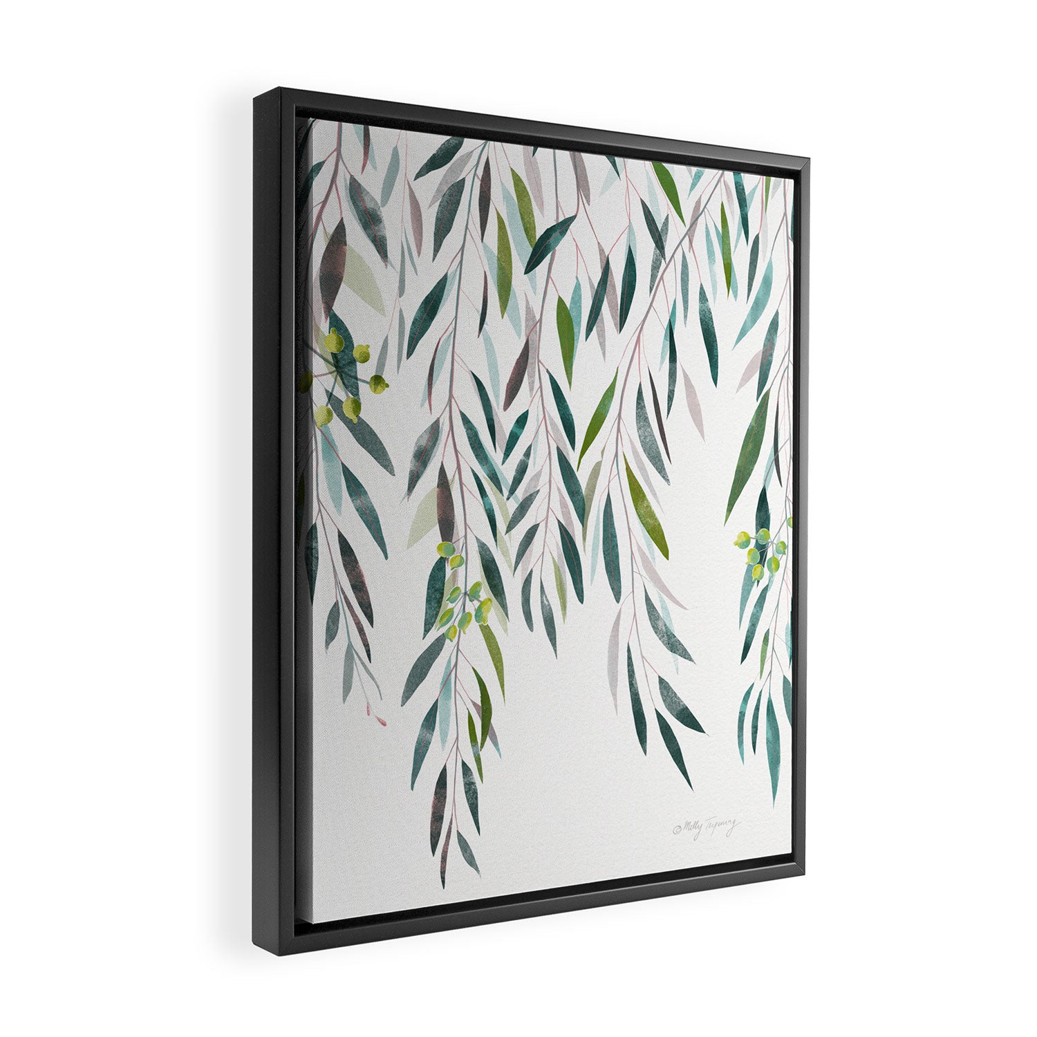 Eucalyptus Drop  Framed Canvas Print Gallery Image 2