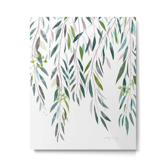Eucalyptus Drop  Metal Print Gallery Image 1