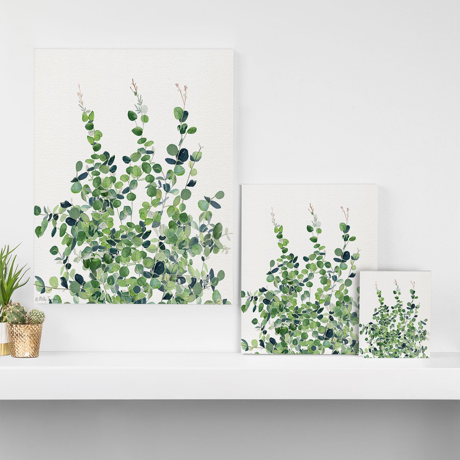 Eucalyptus  Canvas Print Gallery Image 3