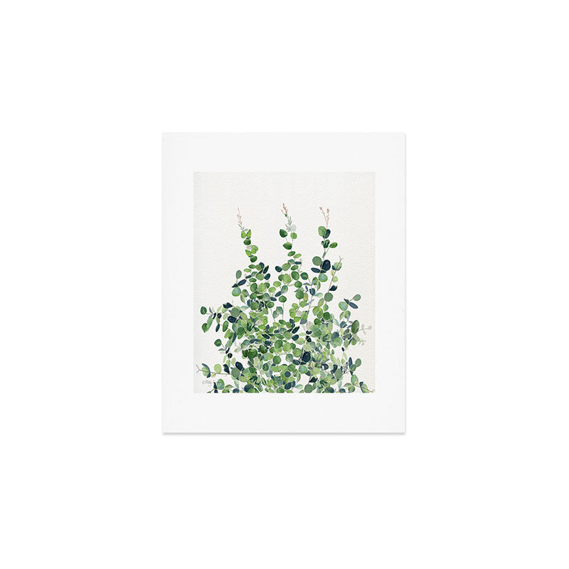 Eucalyptus  Art Print Gallery Image 1