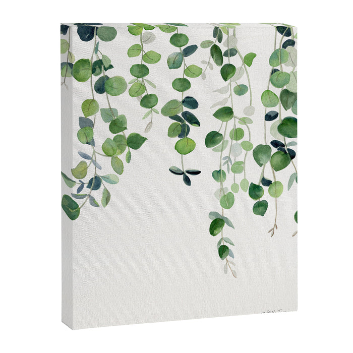 Eucalyptus Watercolor 2  Canvas Print Gallery Image 1