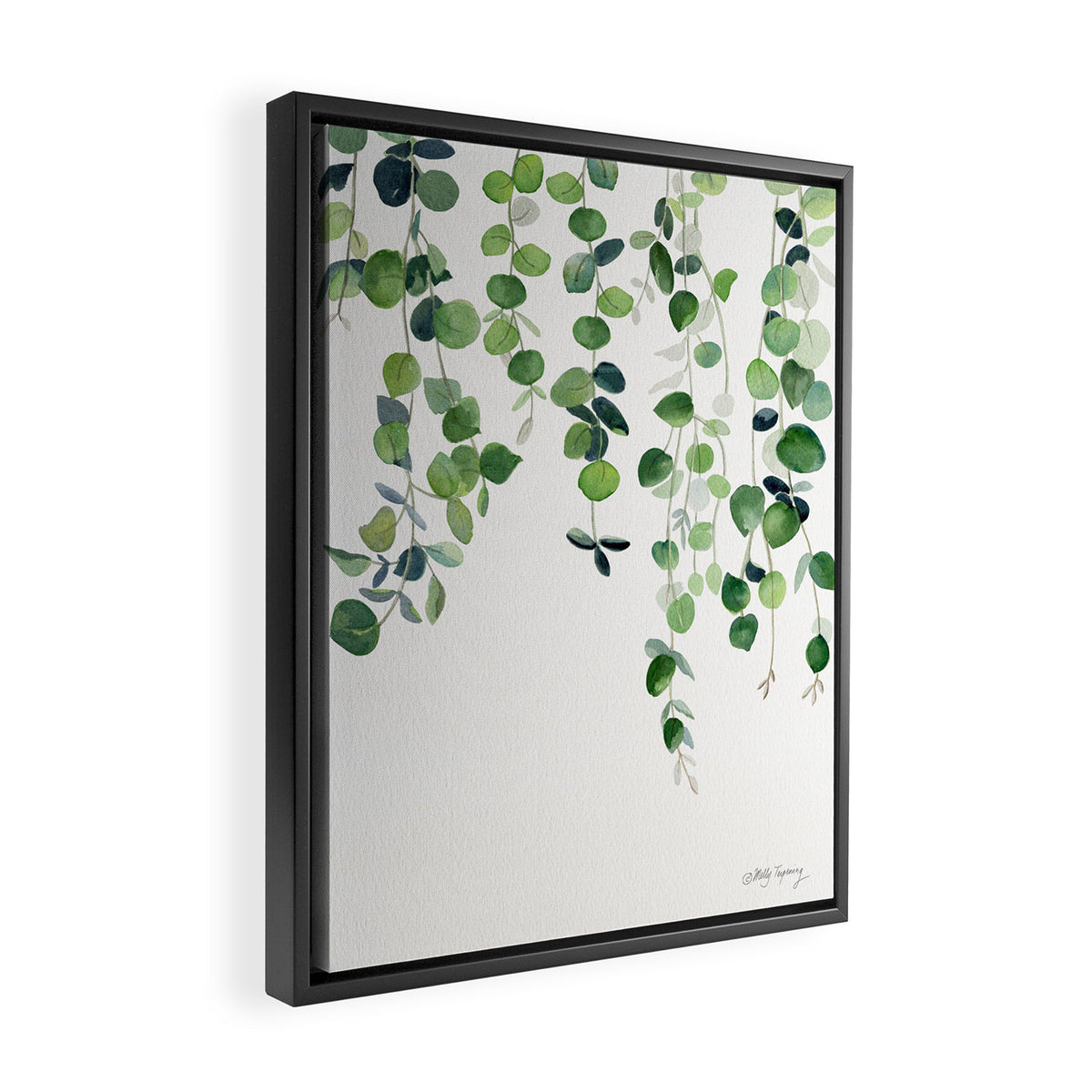 Eucalyptus Watercolor 2  Framed Canvas Print Gallery Image 2