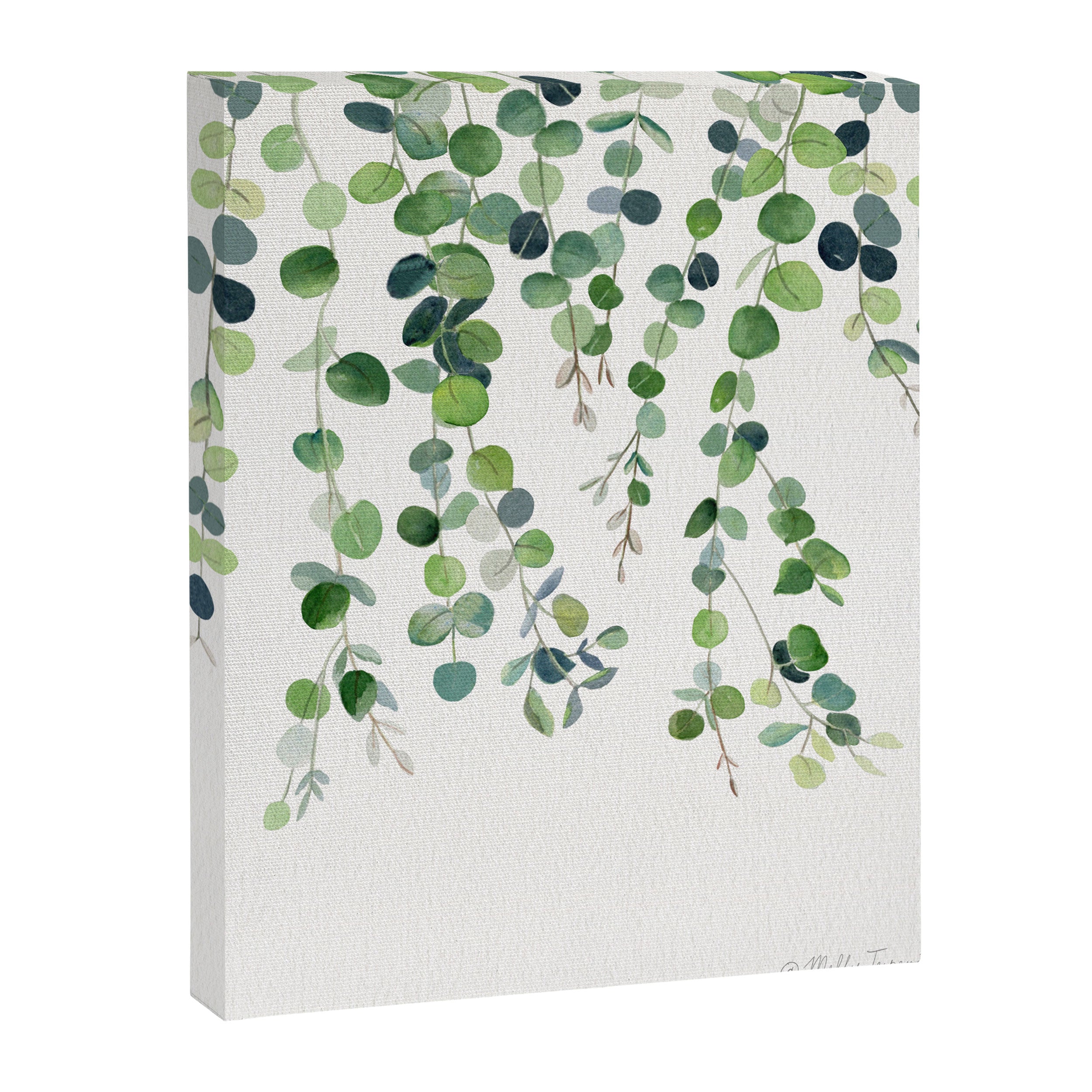 Eucalyptus Watercolor 4 Canvas Print Gallery Image 8