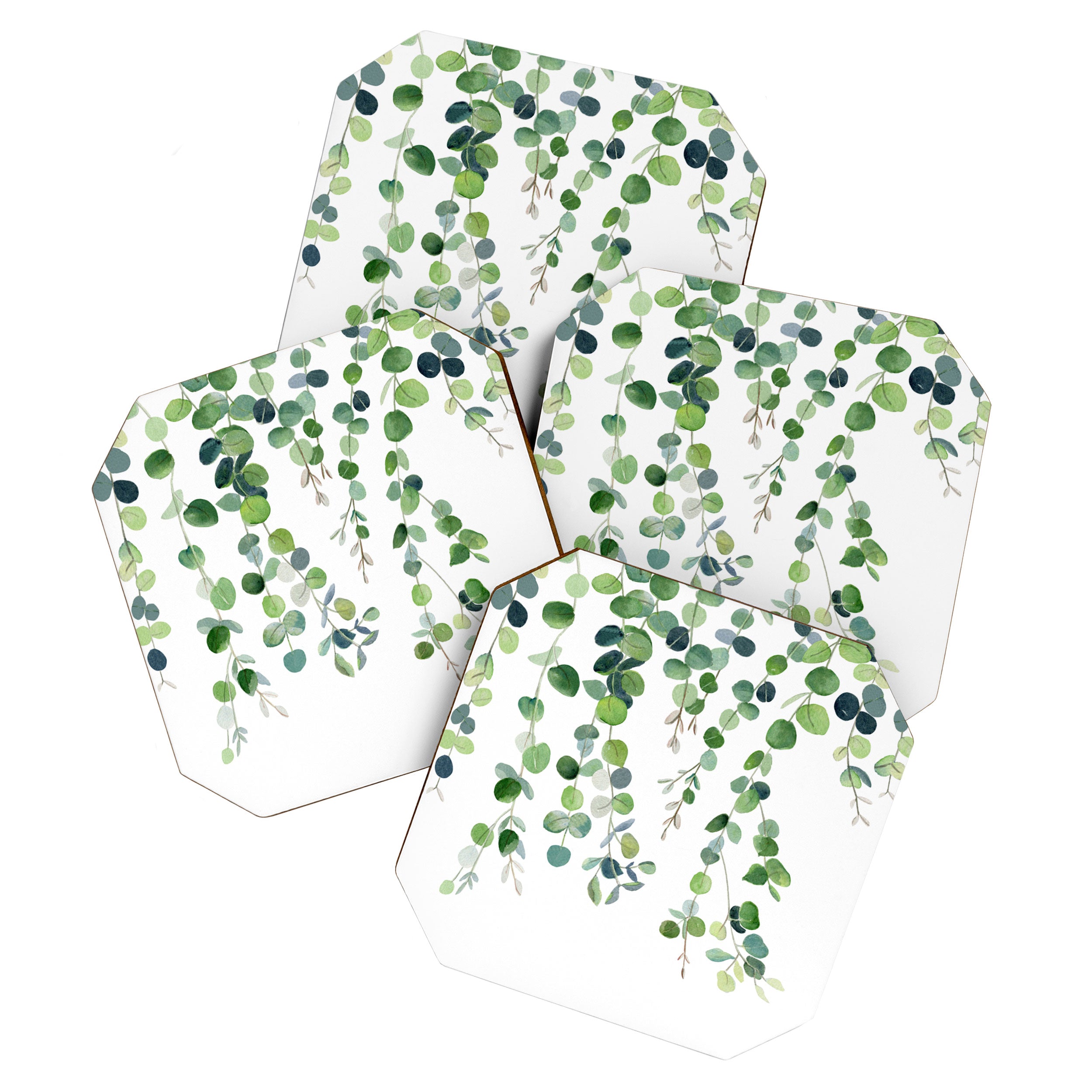 Eucalyptus Watercolor 4 Coaster Gallery Image 1
