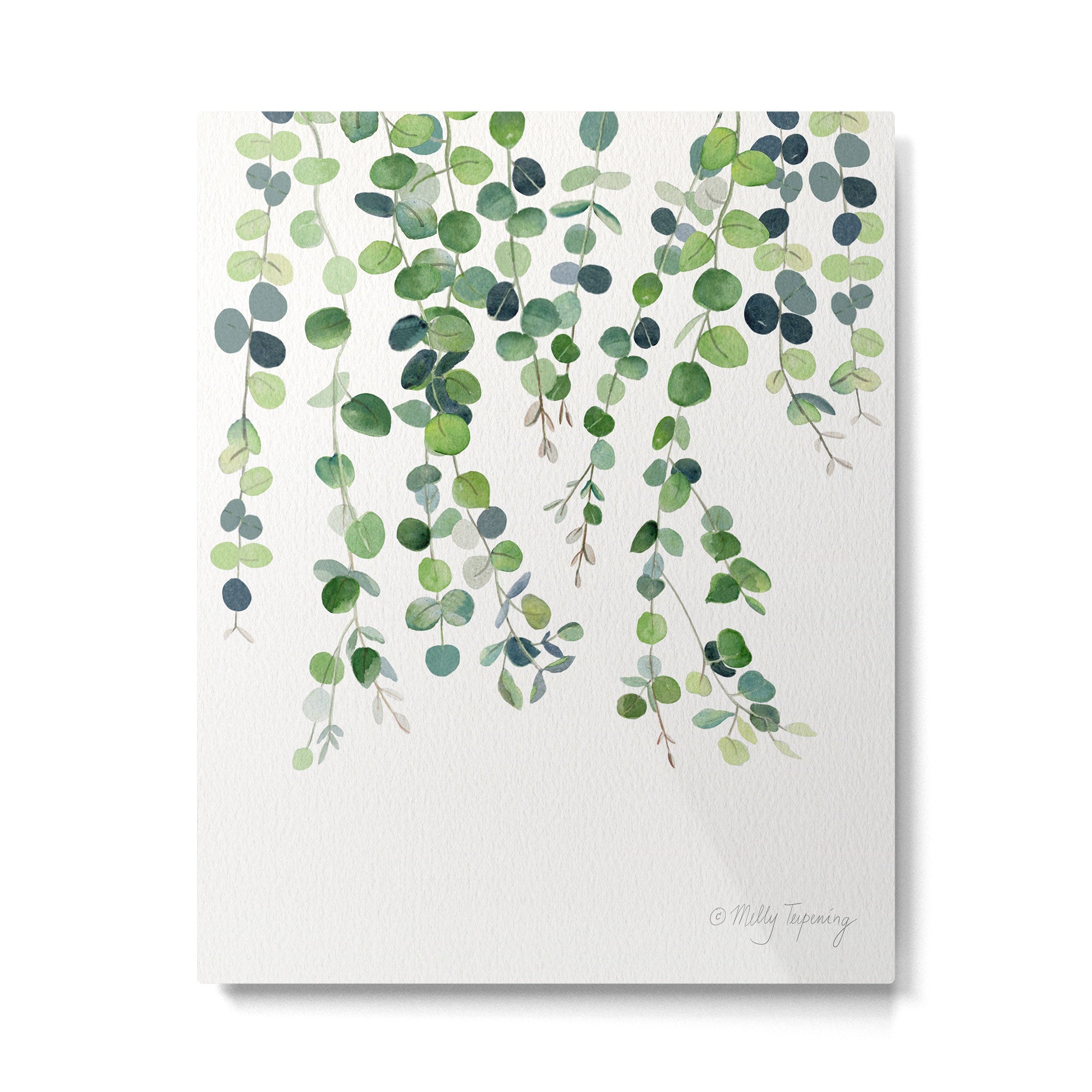 Eucalyptus Watercolor 4 Metal Print Gallery Image 6