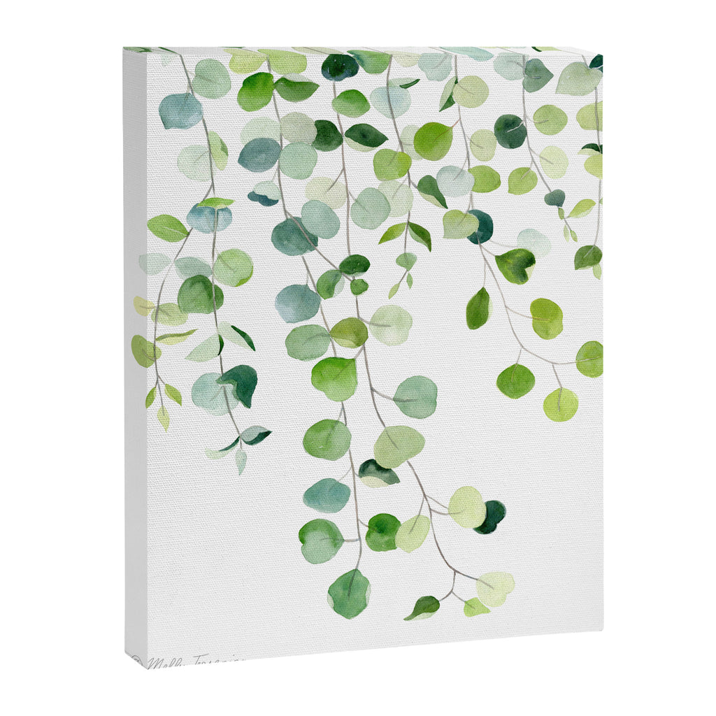 Eucalyptus Watercolor 6 Canvas Print Gallery Image 8