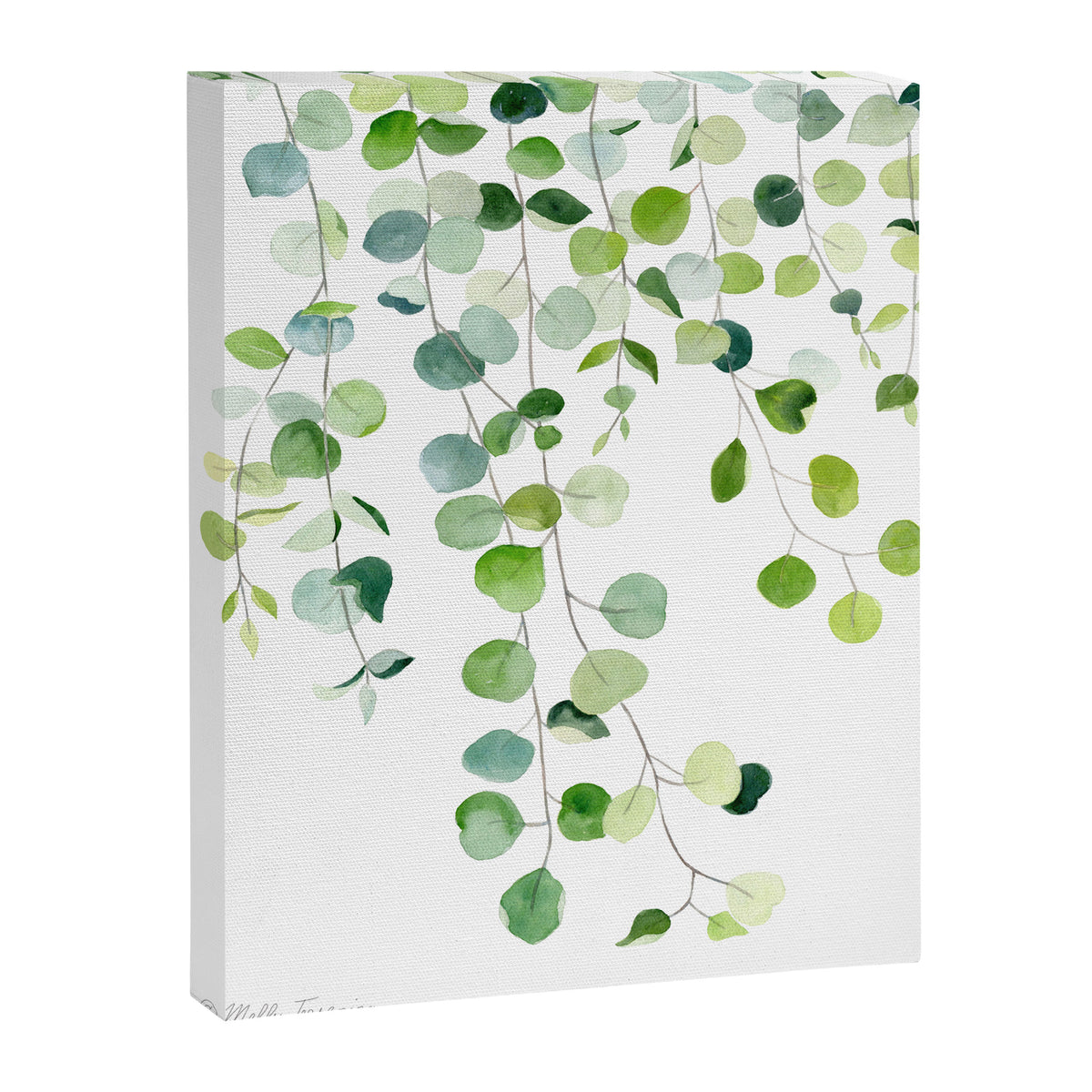 Eucalyptus Watercolor 6 Canvas Print Gallery Image 8