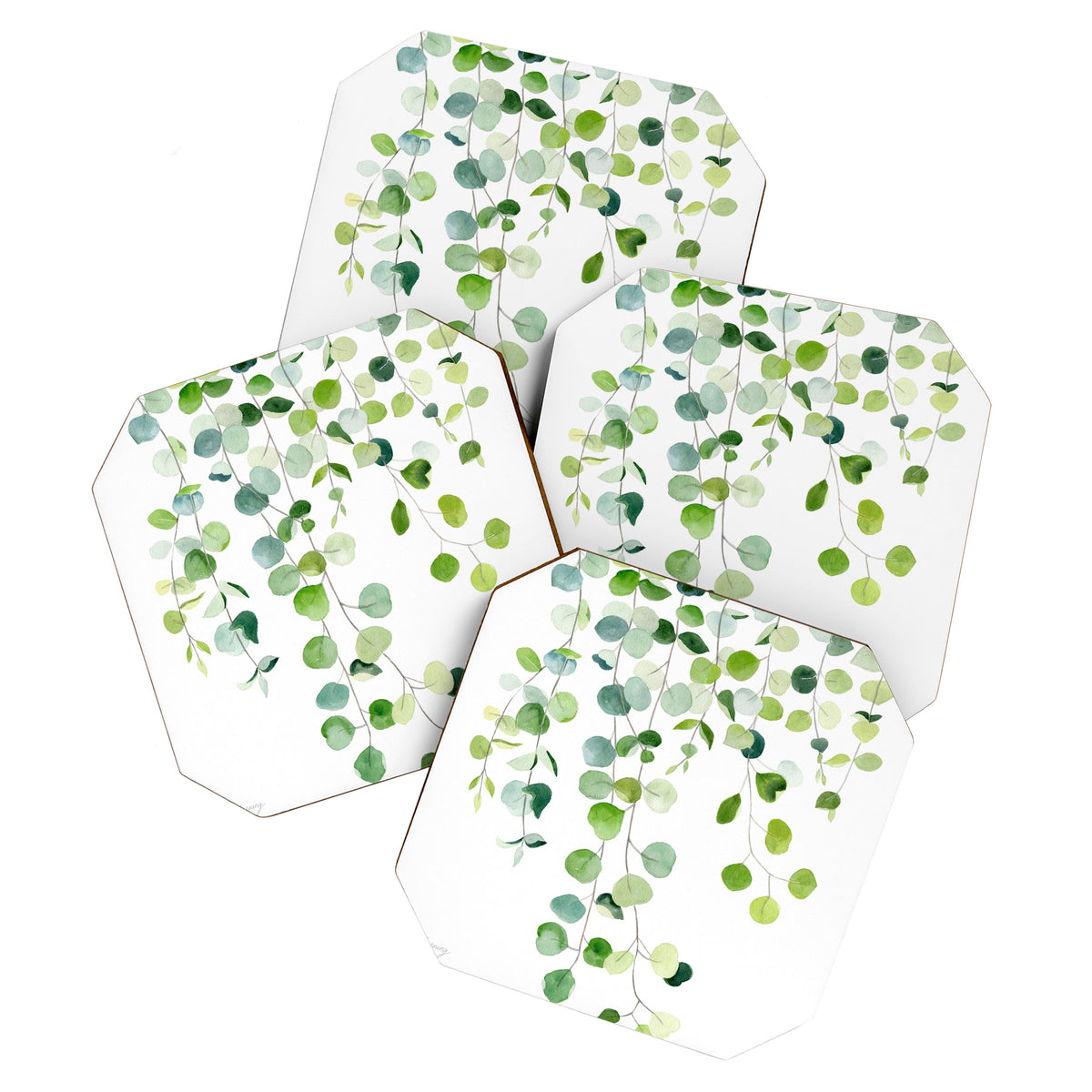Eucalyptus Watercolor 6 Coaster Gallery Image 1