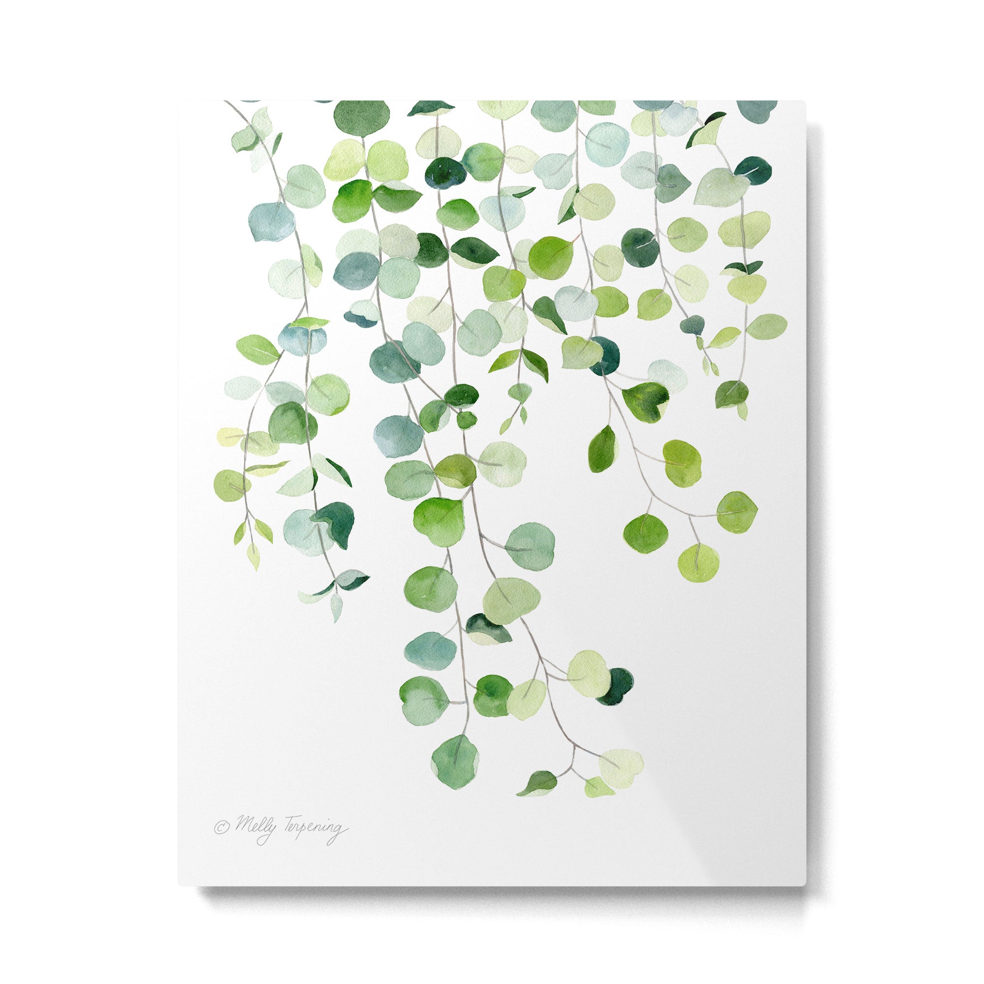 Eucalyptus Watercolor 6 Metal Print Gallery Image 6