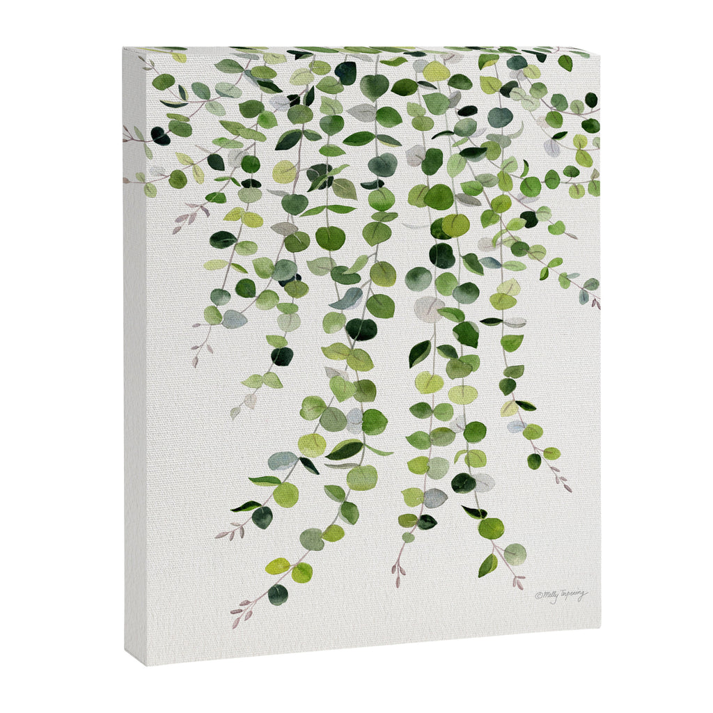 Eucalyptus Watercolor 8 Canvas Print Gallery Image 6