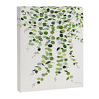 Eucalyptus Watercolor 8 Canvas Print Gallery Image 6