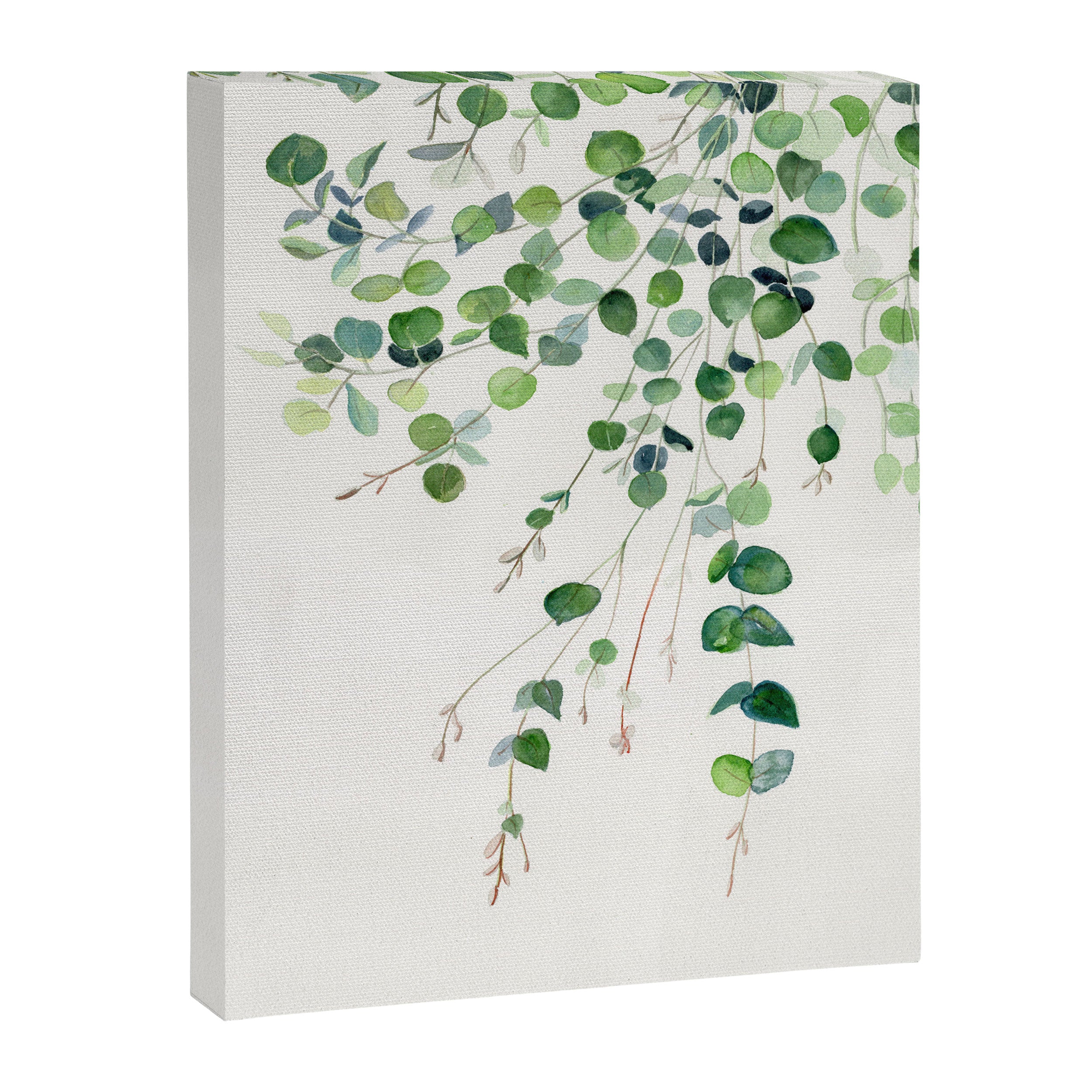 Eucalyptus Watercolor Canvas Print Gallery Image 8