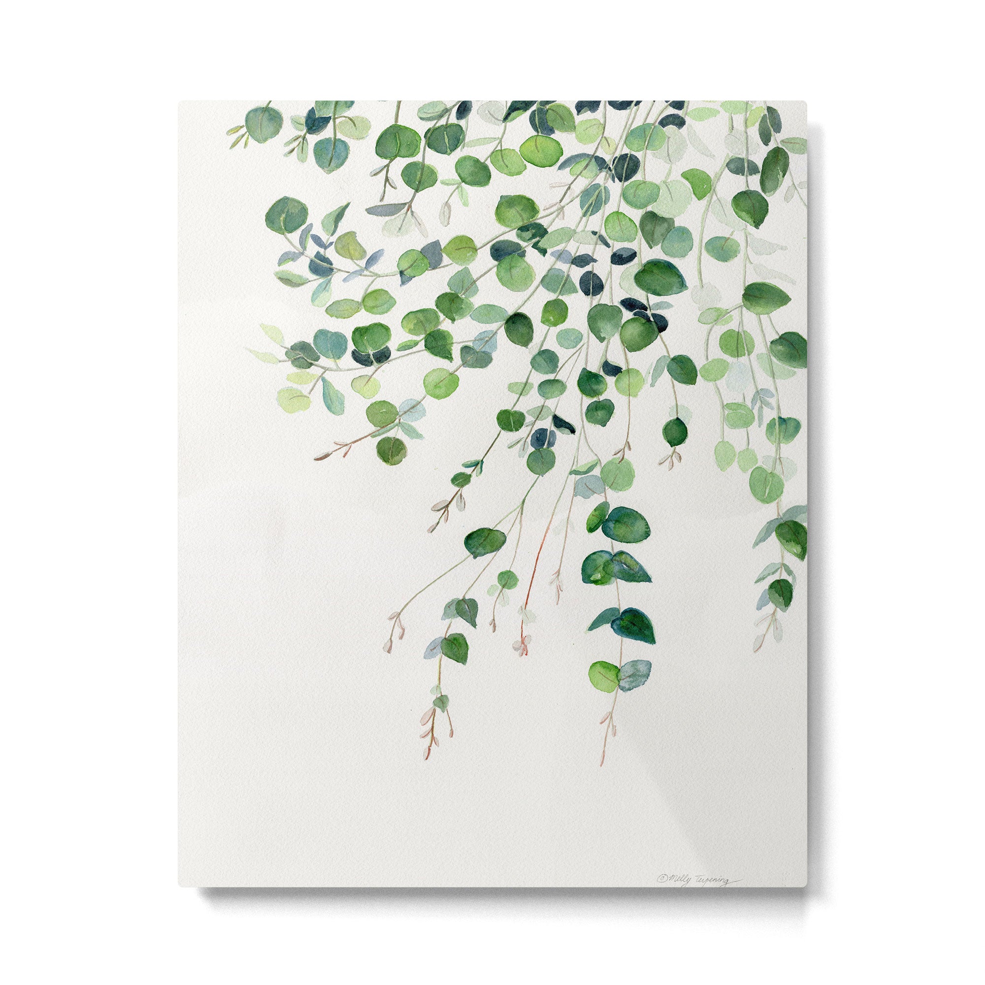 Eucalyptus Watercolor Metal Print Gallery Image 6