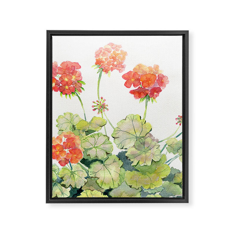 Geranium Watercolor  Framed Canvas Print Gallery Image 8