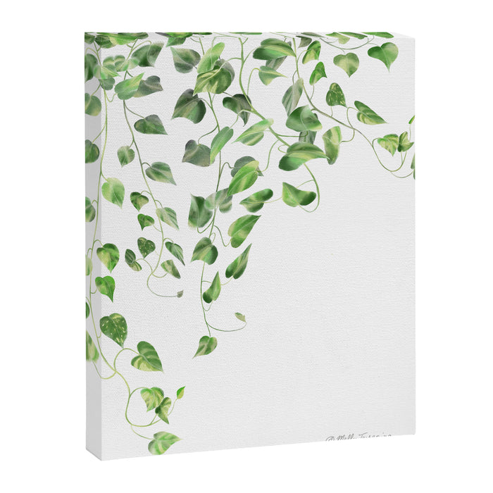 Golden Pothos - Ivy Canvas Print Gallery Image 1