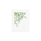 Golden Pothos - Ivy Art Print Gallery Image 1