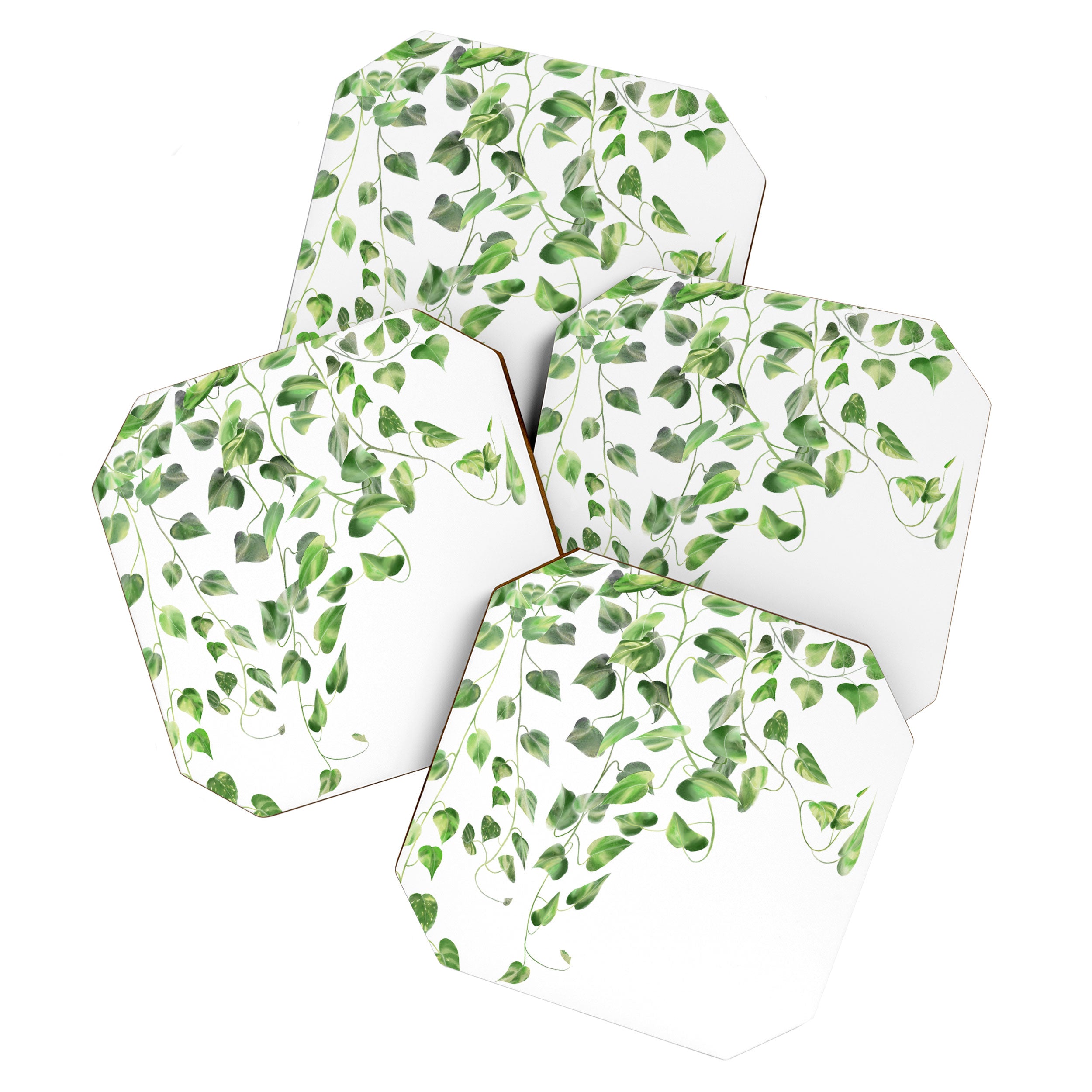 Golden Pothos - Ivy Coaster Gallery Image 1